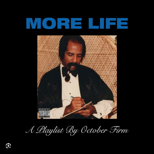 Drake - More Life - 2 x LP - Unofficial release