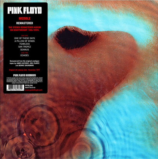 Pink Floyd - Se mêler