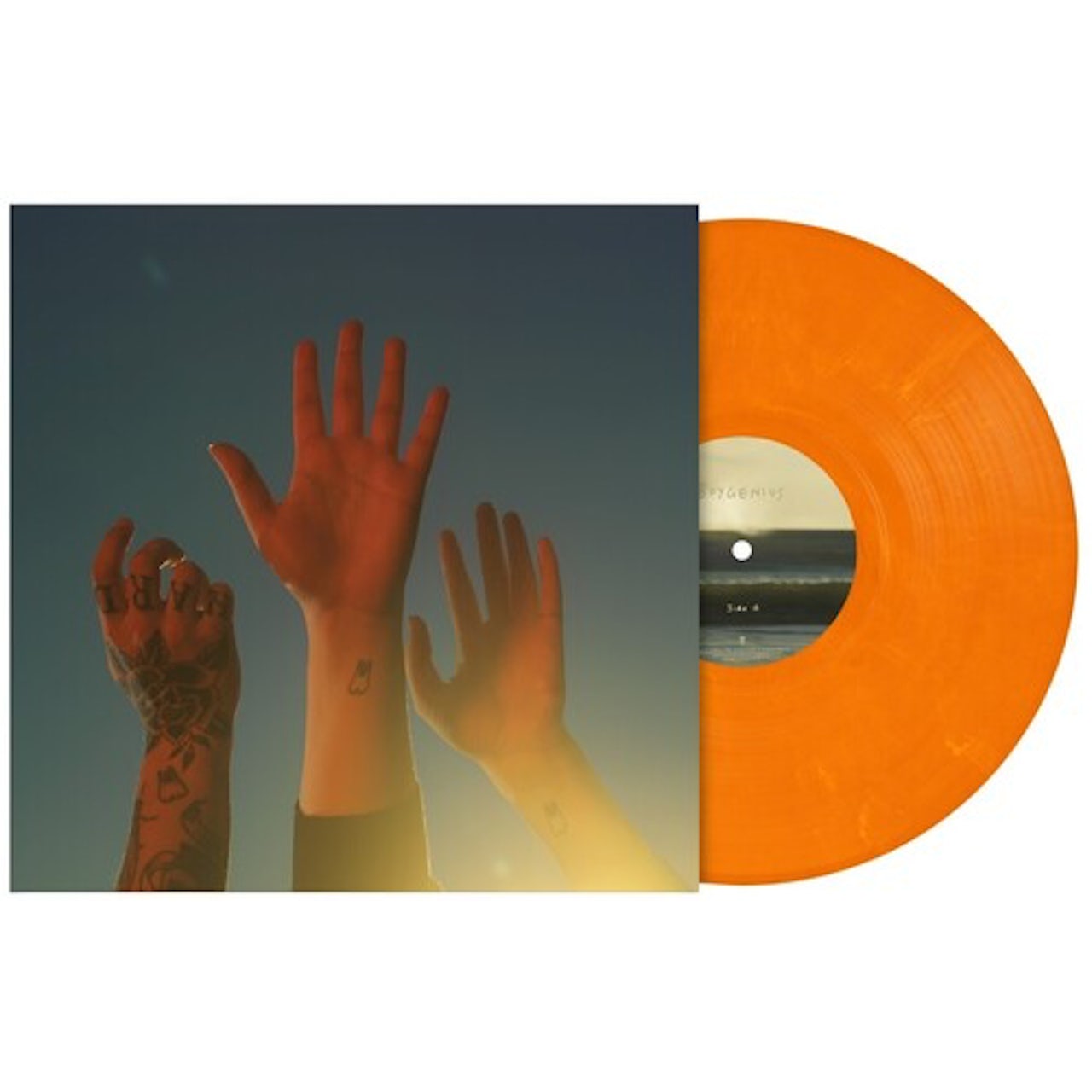 (Orange Crush Swirl) Le disque