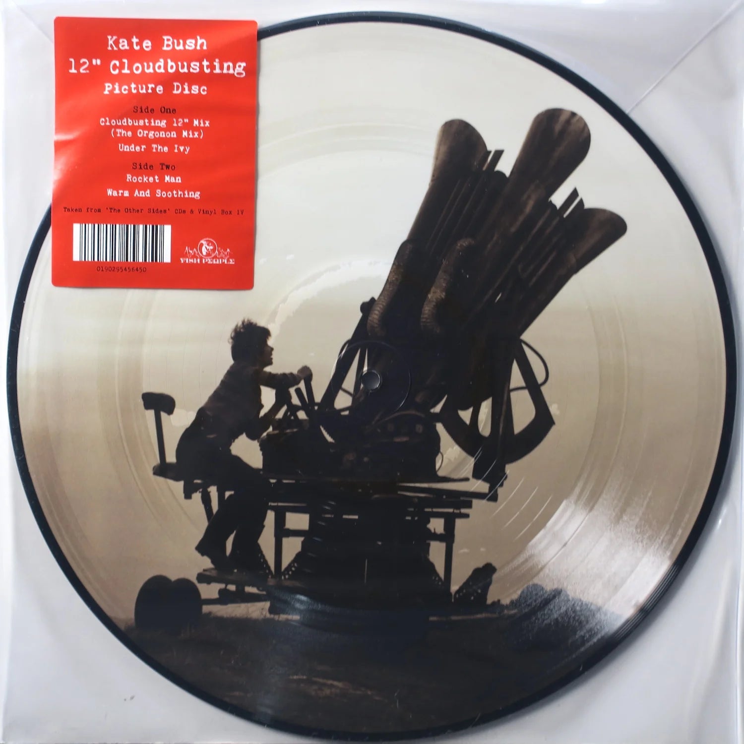 Cloudbusting (Picture Disc)